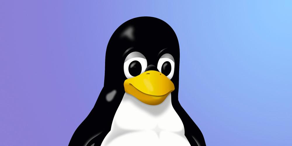Linux может лишится поддержки Intel i486